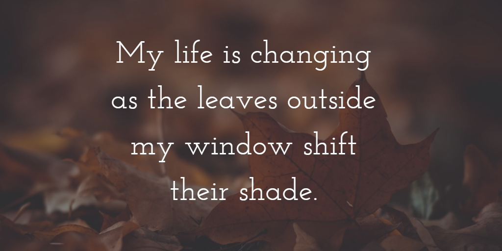 Fall Changes, Forward Motion and Endings 3 Fall leaves with quote: "My life is changing as the leaves outside my window shift their shade."